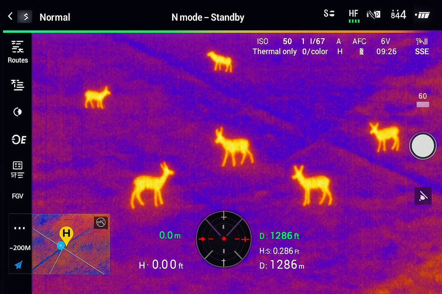 Thermal aerial view showing deer heat signature