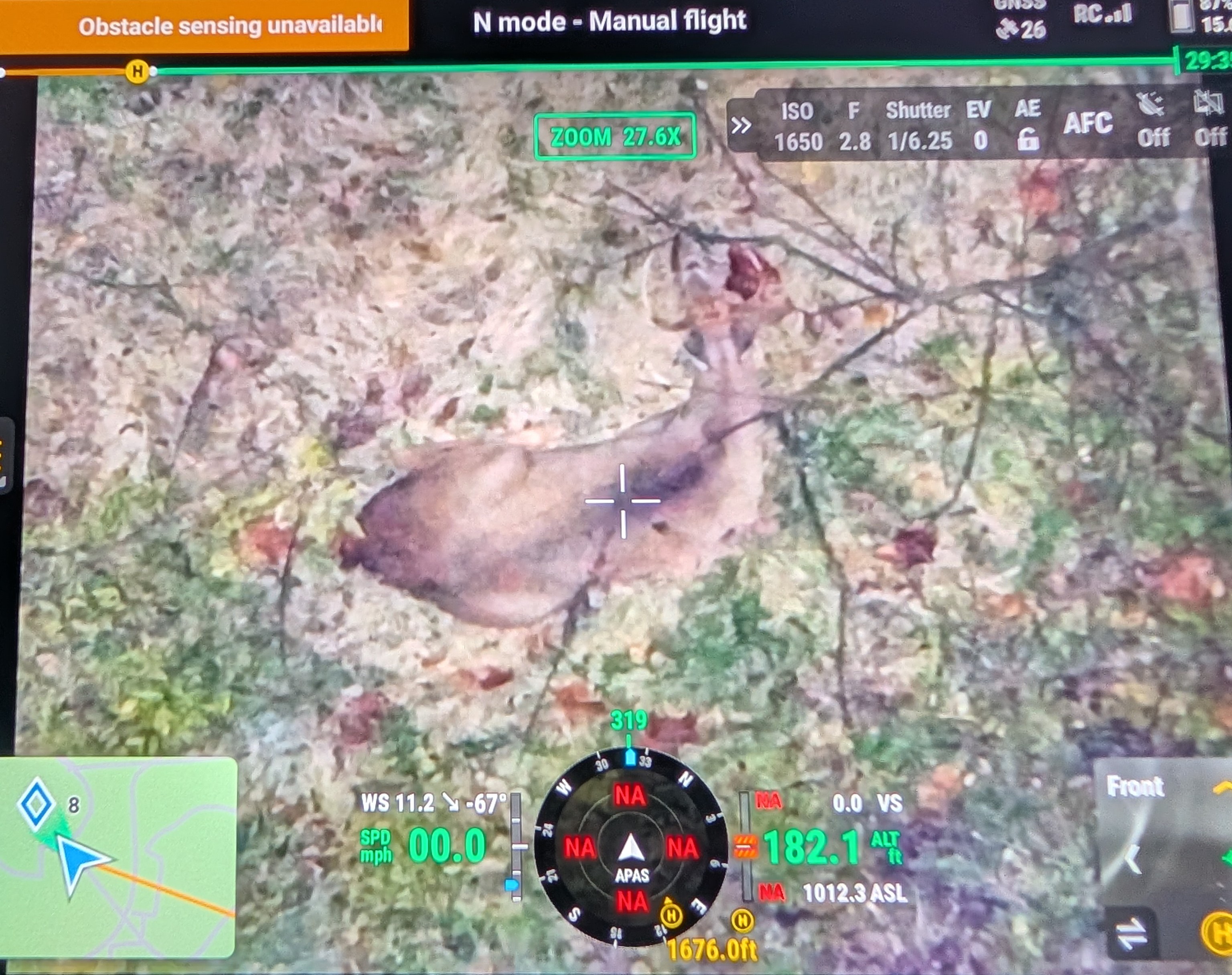 Follow-Up Thermal Scan Image